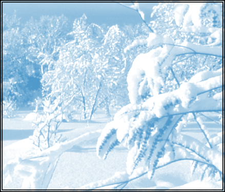 pp4a71701b.png
